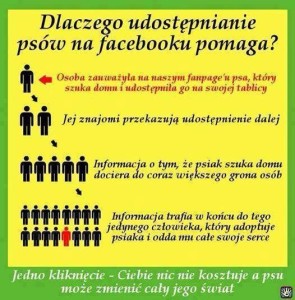 infografika facebook